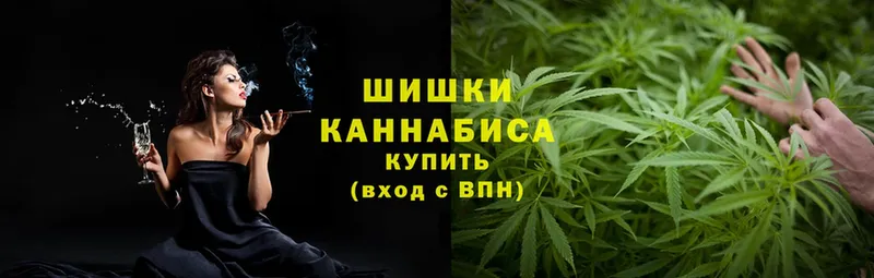 Каннабис индика  Зубцов 